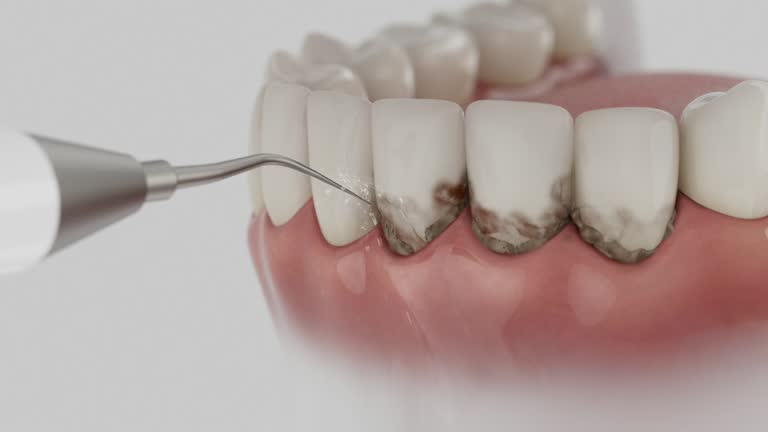 Reliable Dental contractor in Dupont, PA by Dentist Open Now